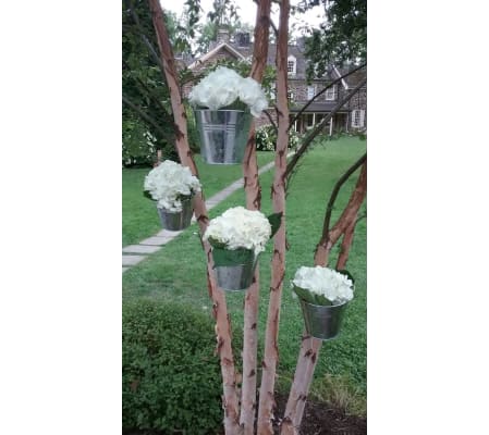BUCKETS OF HYDRANGEAS