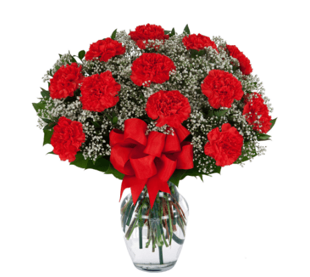 12 Red Carnations Arranged