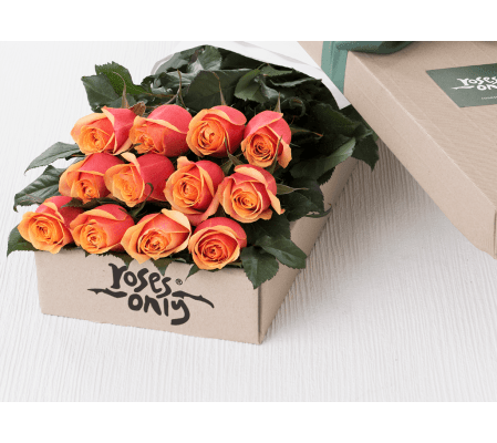 One Dozen Orange Roses