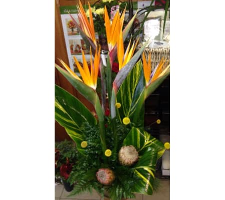 Tropical Arrangement