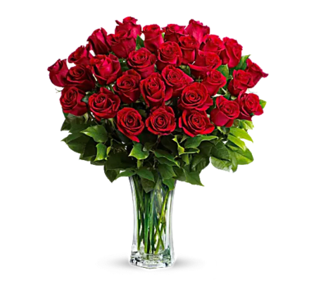 Love And Devotion Long Stem Roses