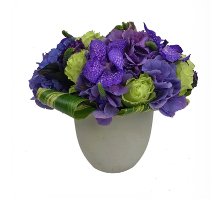 Perfectly Purple