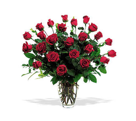 CLASSIC TWO DOZEN ROSE BOUQUET