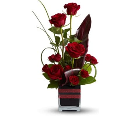 Romance Roses