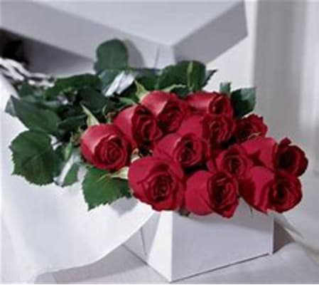 A DOZEN OF ROSES IN A GIFT BOX