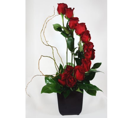 Vertical of roses