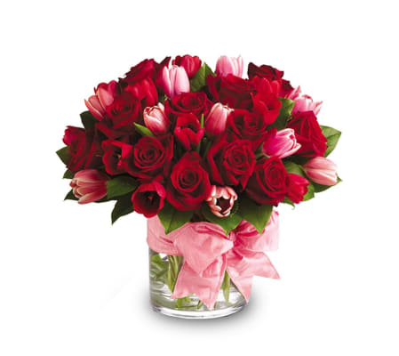 Roses and Tulips