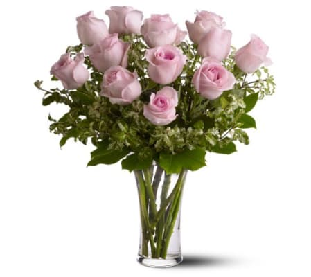Pretty pink roses