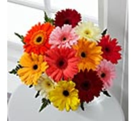 BRIGHT GERBERA DAISY BOUQUET