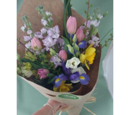 Spring Blooms