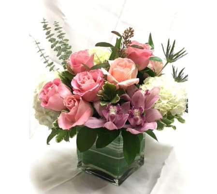CUSTOMA-013