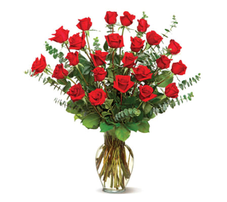 extra long rose delight