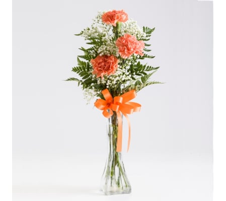 3 Carnation Bud Vase