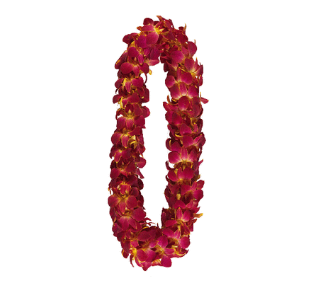 Premium Cardinal Gold Lei