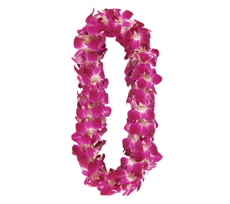 Premium Bombay (purple & white) Lei