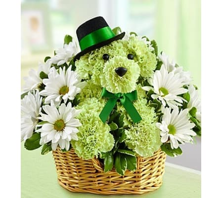 St. Paddy's Puppy