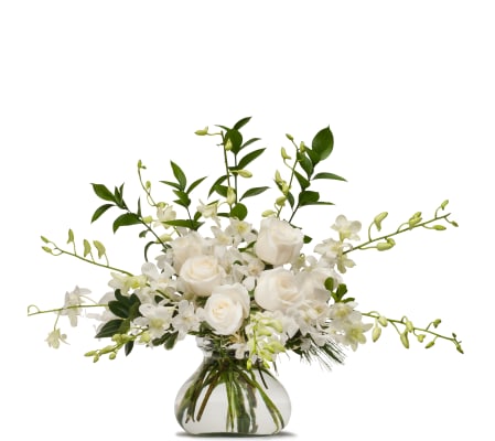 White Splendor