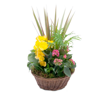Bloomin' Sunshine Basket