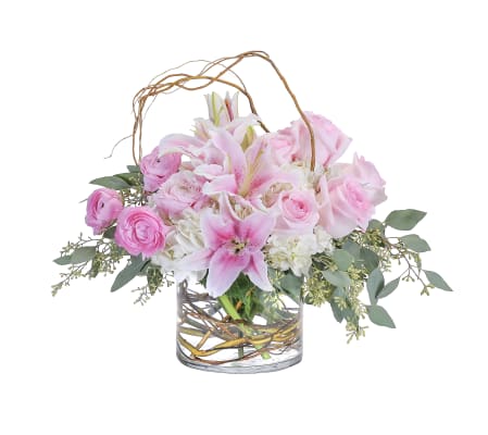 Delicate Beauty