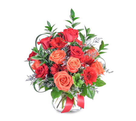 Scarlet Wildfire