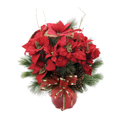 Grand Poinsettia