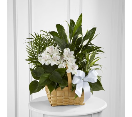 TROPICAL PLANT BASKET