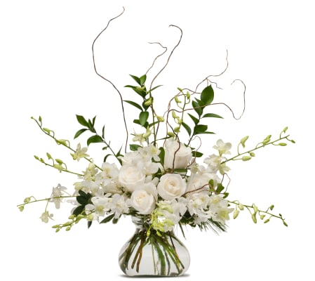 White Elegance