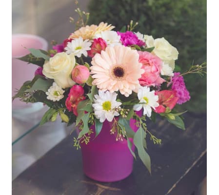 Pleasantly in the Pink
