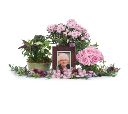 Lovely Lady Tribute
