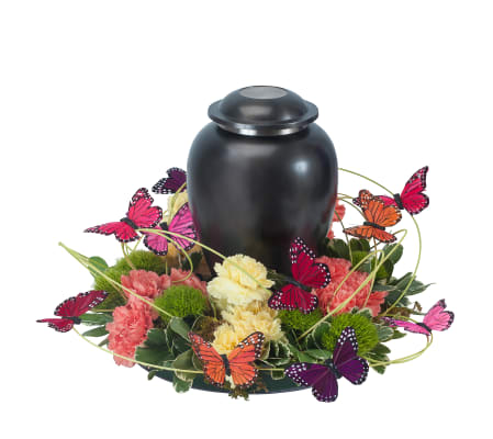 Beautiful Butterfly Simple Surround