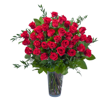 Room Full of Roses