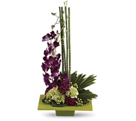 Teleflora Zen Artistry