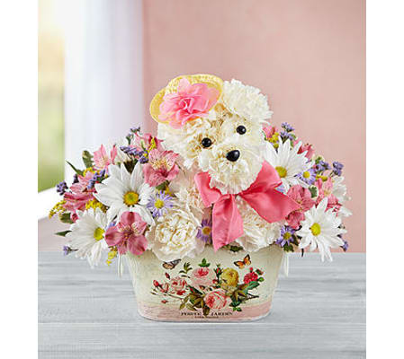 PRECIOUS PUP FOR MOM