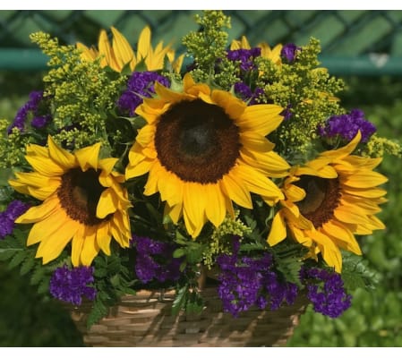 The Sun Basket