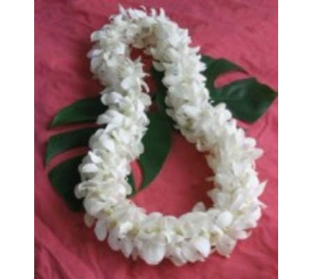Double White Dendro Orchid Lei