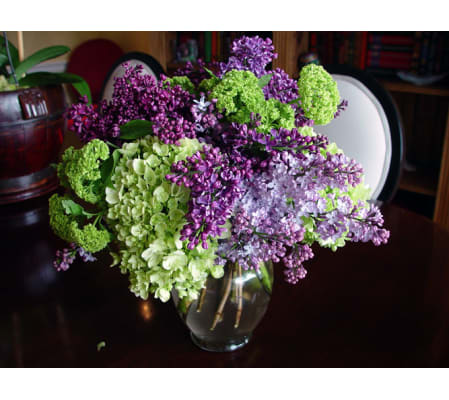 Lilacs in Bloom