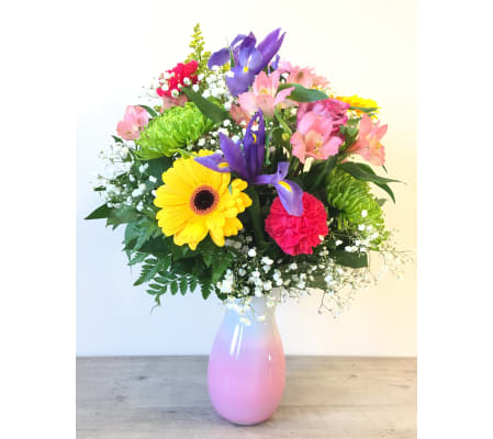 Vibrant Surprise
