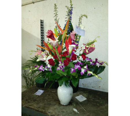 TROPICAL/ EXOTIC ARRANGEMENT
