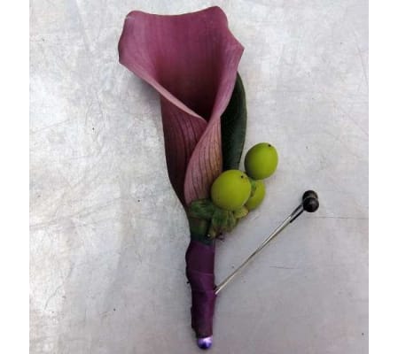 calla lily eggplant