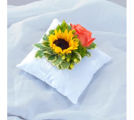 Sunset Pillow