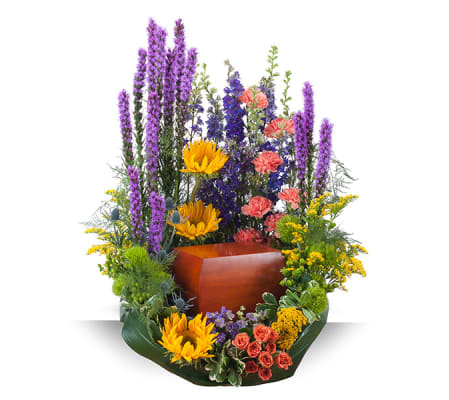 Celebration Garden Surround DW