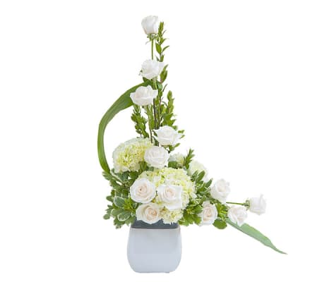Elegant Love Tribute DW