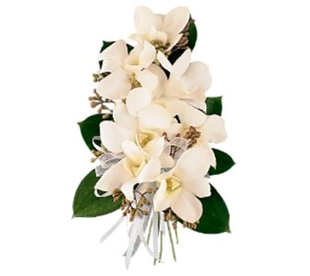 Light Dendrobium Corsage