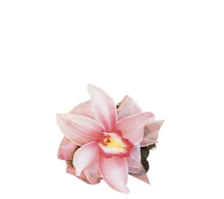 Pink Cymbidium Corsage