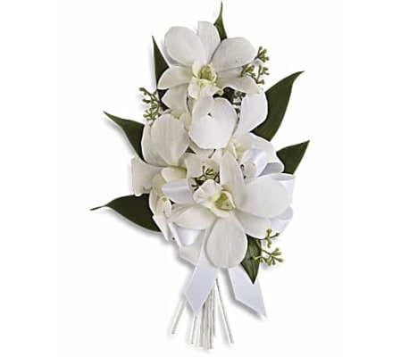 Graceful orchid corsage