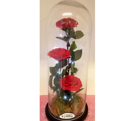 Preserved roses lamp in red
