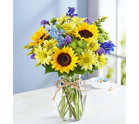 SUNFLOWERS FIELD