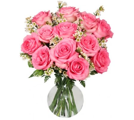 Chantilly Pink Roses