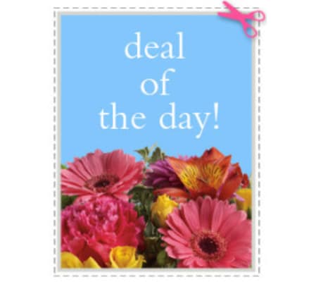 Wrapped Deal of the Day
