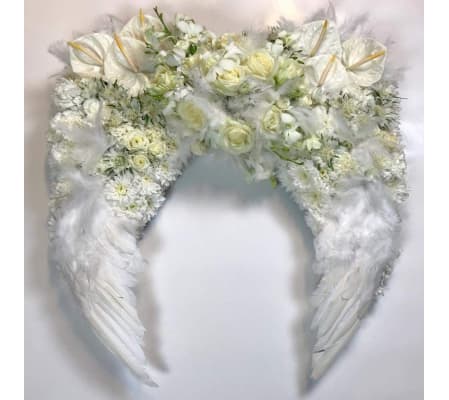 Beautiful Angel Wings